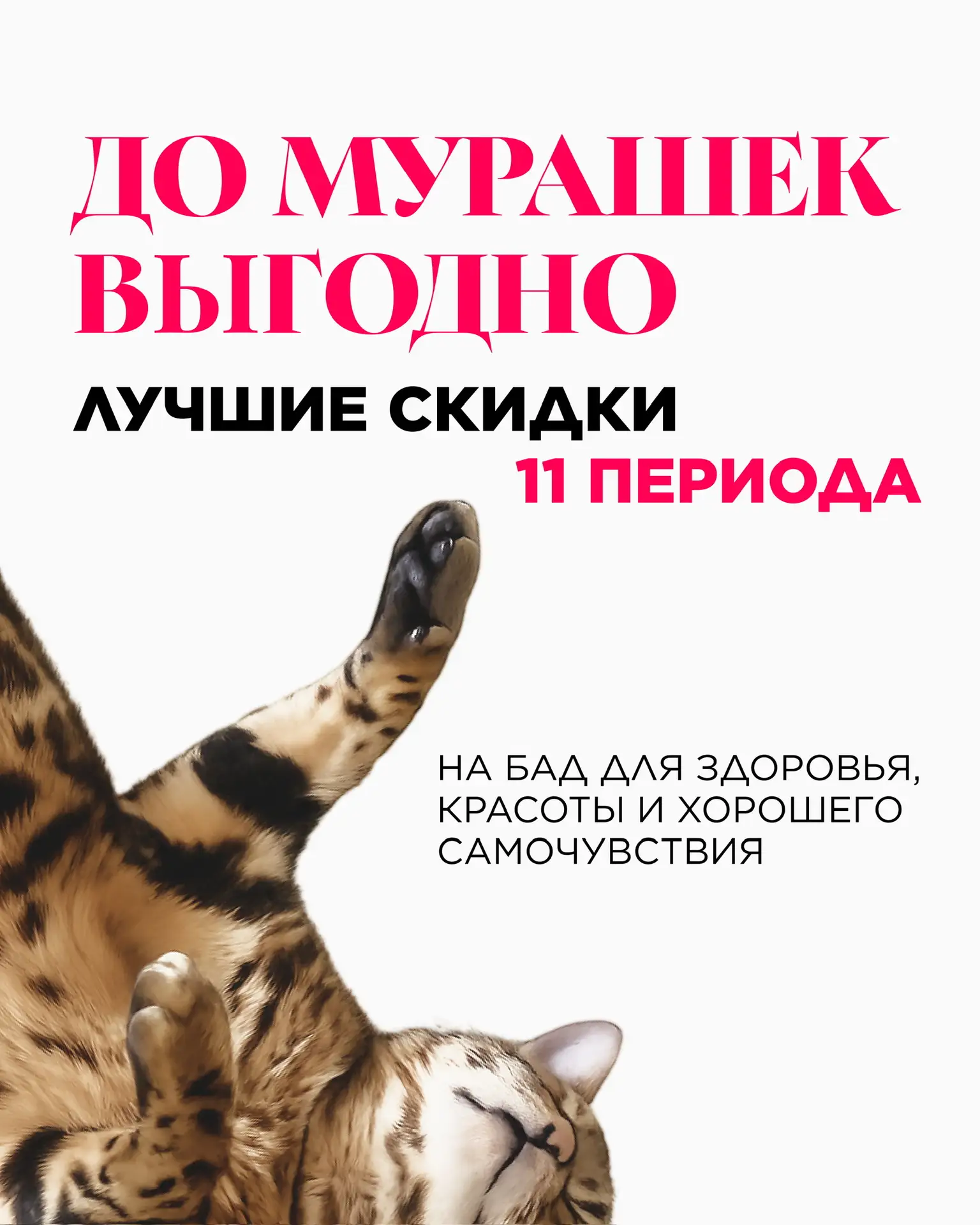 🏷️ Есть предложения, от которых появляются те самые приятные мурашки – когда находишь именно то, чт