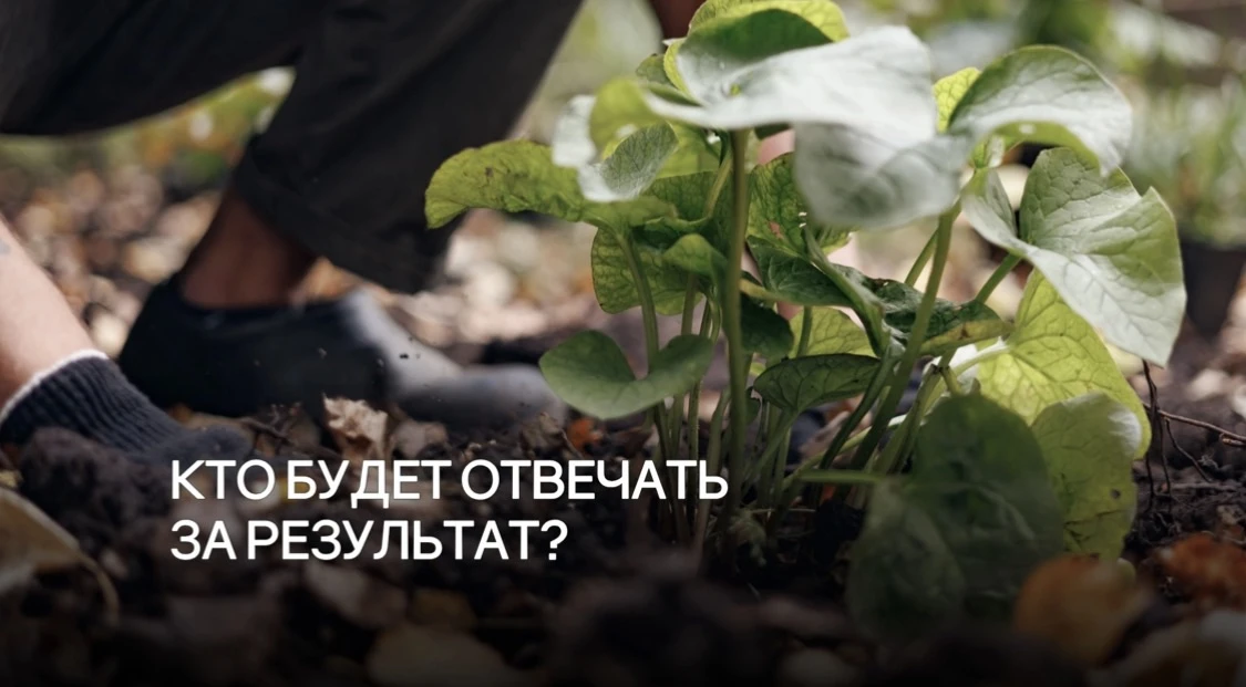 Кто на самом деле будет отвечать за результат?