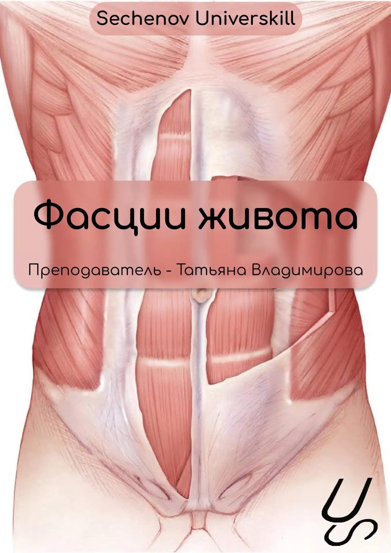 Вспоминаем анатомию и повторяем перед сессией ✍🏻