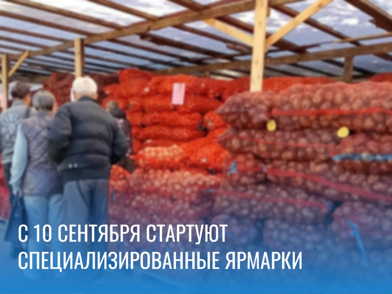 🍂 Сезон свежих овощей начинается в Новокузнецке!