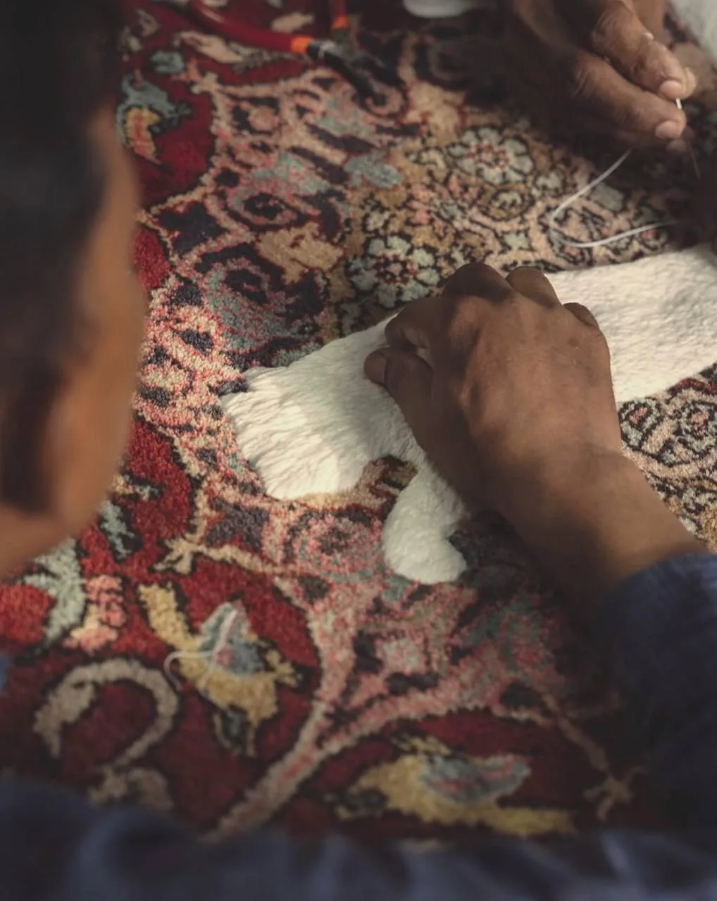 Puma сделали коллаборацию с индийской компанией Jaipur Rugs, известной коврами ручной р...