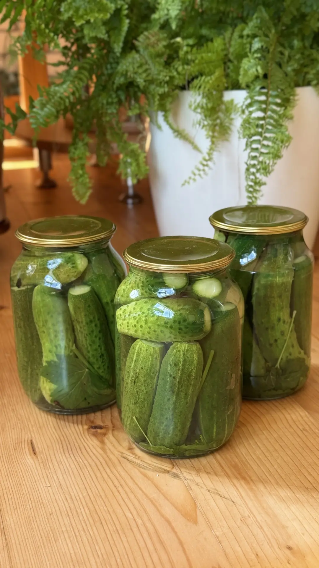 Классические соленые огурцы 🥒