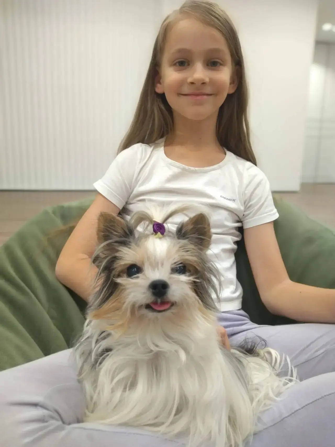 😺🐶Акция: «Моё сердце — их защита♥️»