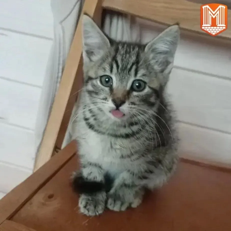 Как неравнодушие может спасти жизнь?