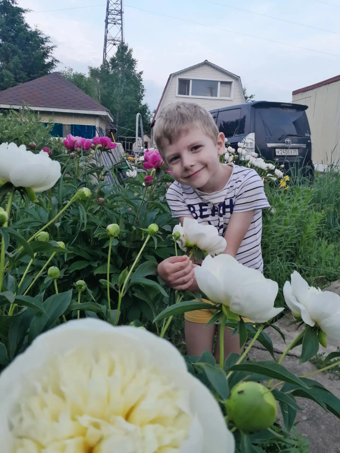 "Эти летние цветы"