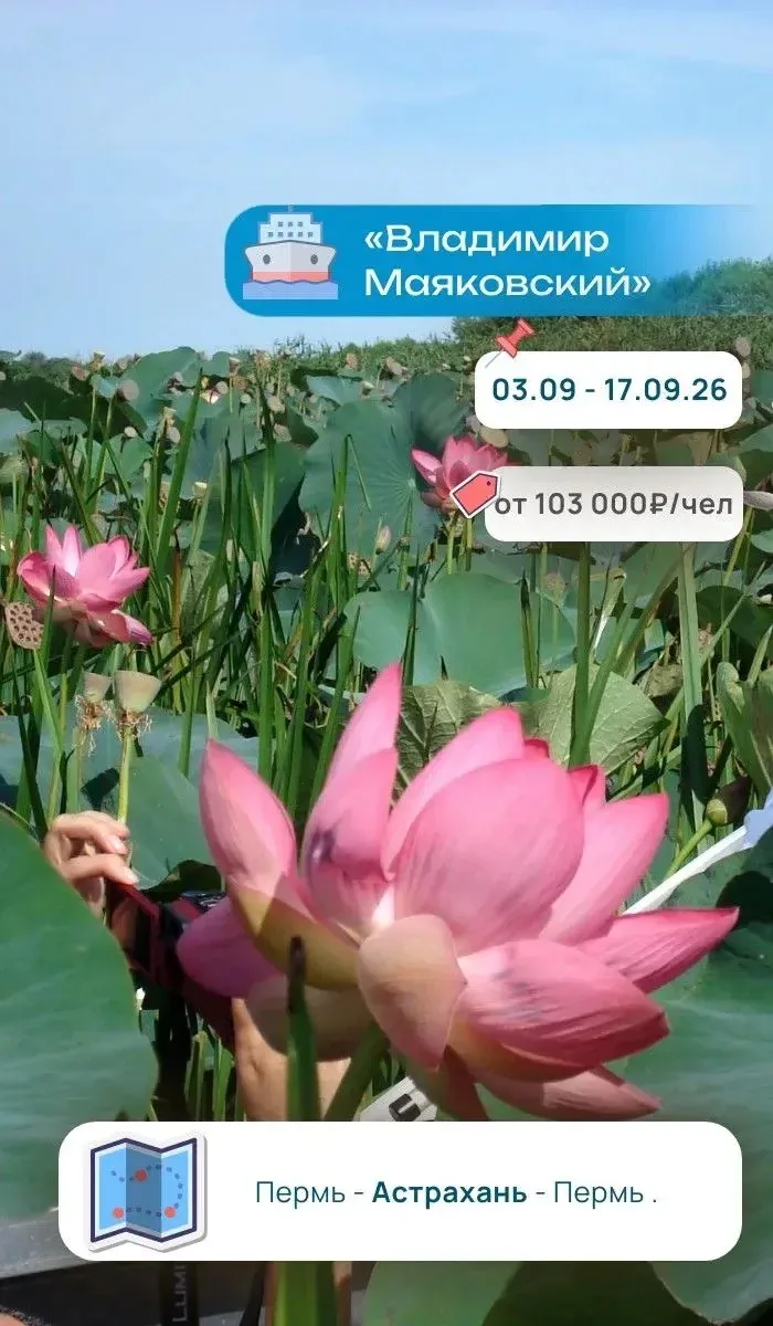 Вдохнуть осень и сэкономить? Легко! 🍁