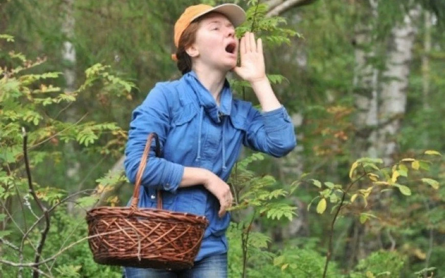 Правила поведения в лесу