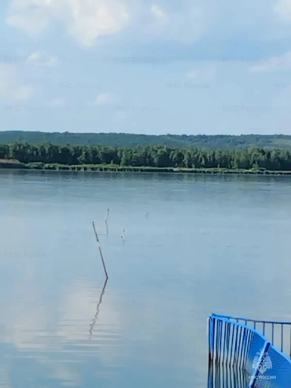 В Курчатове в водохранилище обнаружили тело ребёнка