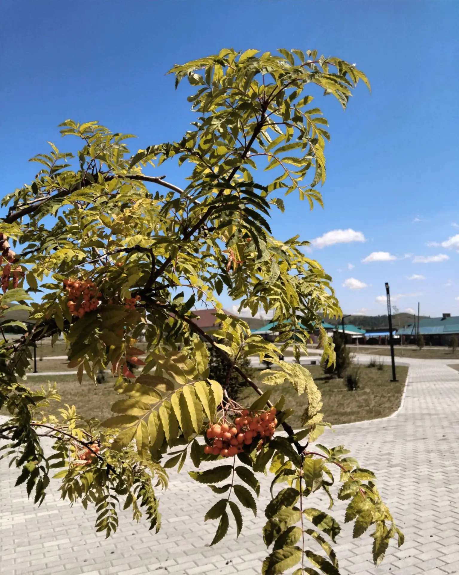 Первая зима позади, а лето сделало своё дело! 🌞 🌿