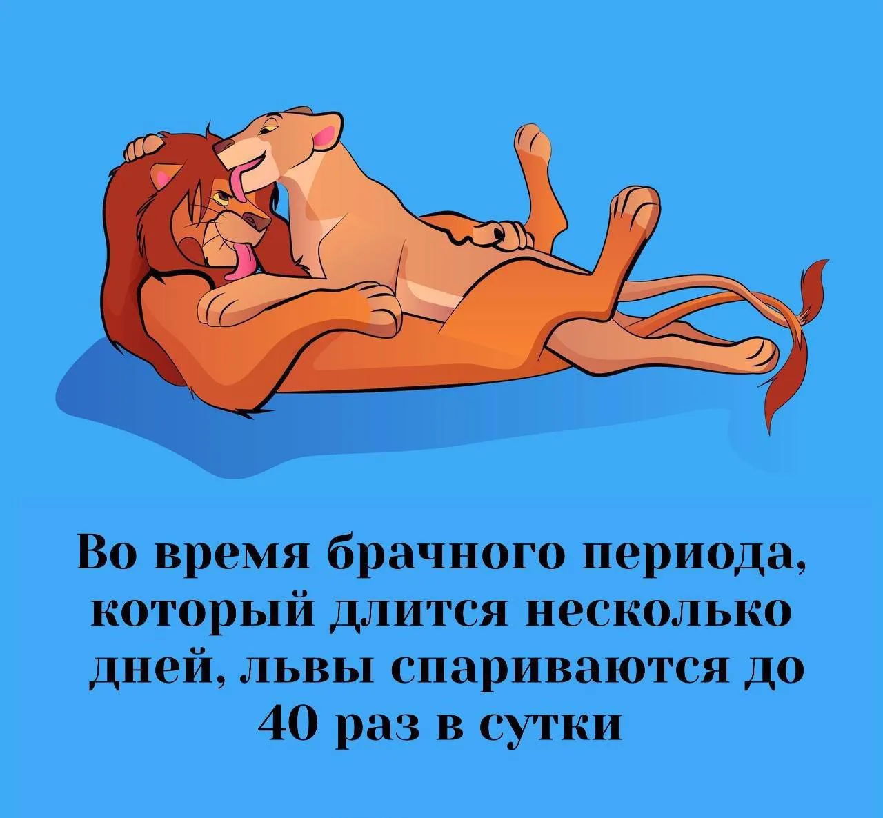Сексология