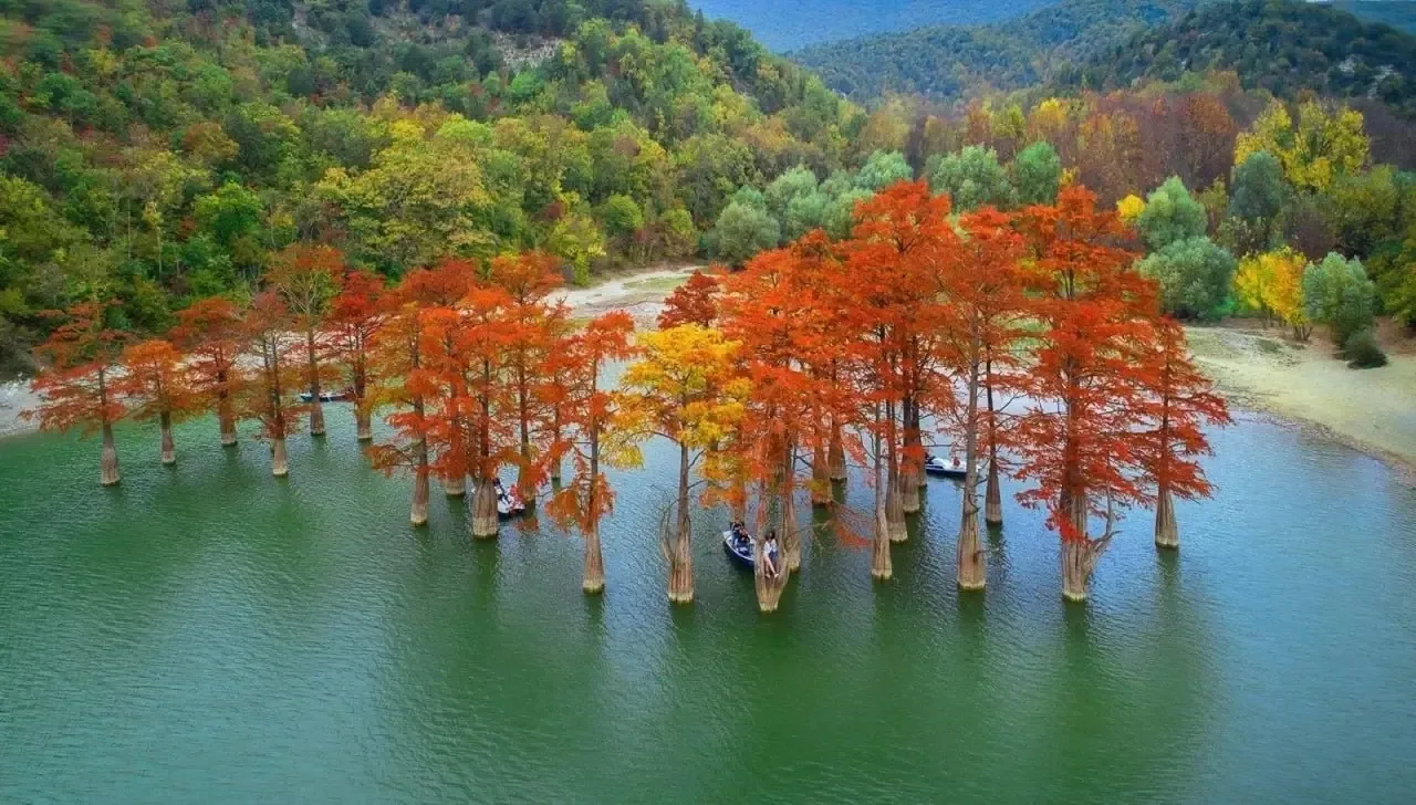 🇷🇺 Кипарисовое озеро 🍂