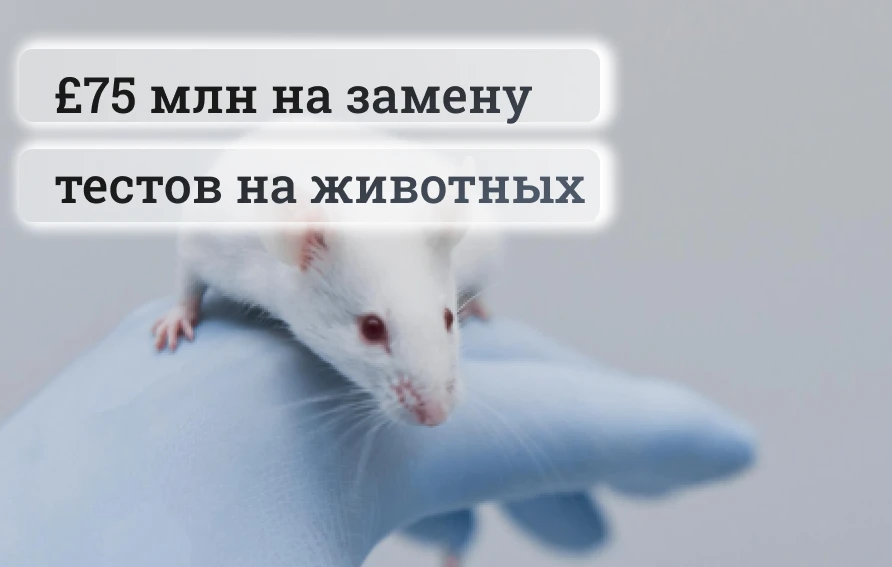 Великобритания выделила £75 млн на замену тестов на животных