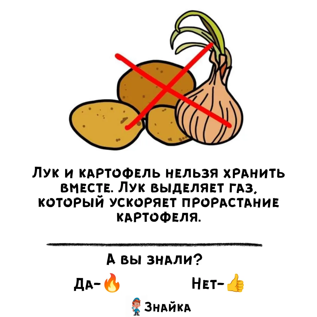 💡Знайка