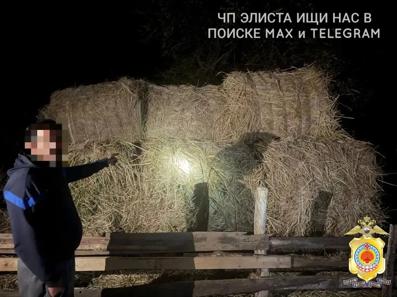 🤯В Яшалтинском районе фермер заявил о краже: с территории его хозяйства исчезли 16 рул...