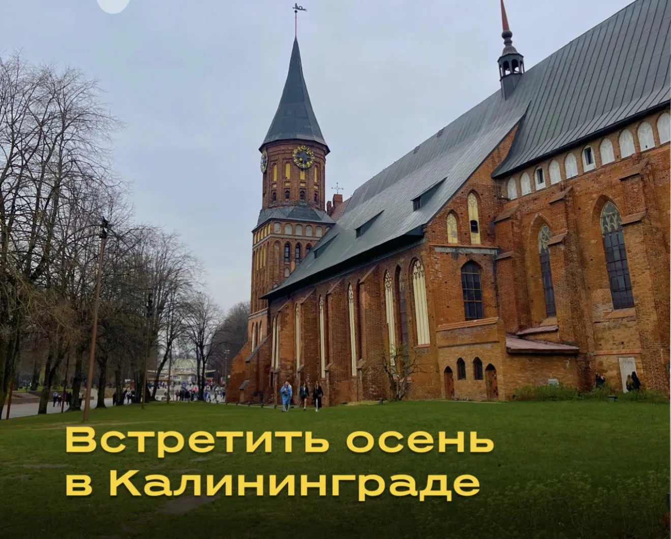🍂 Калининград со скидкой: повод продлить сезон