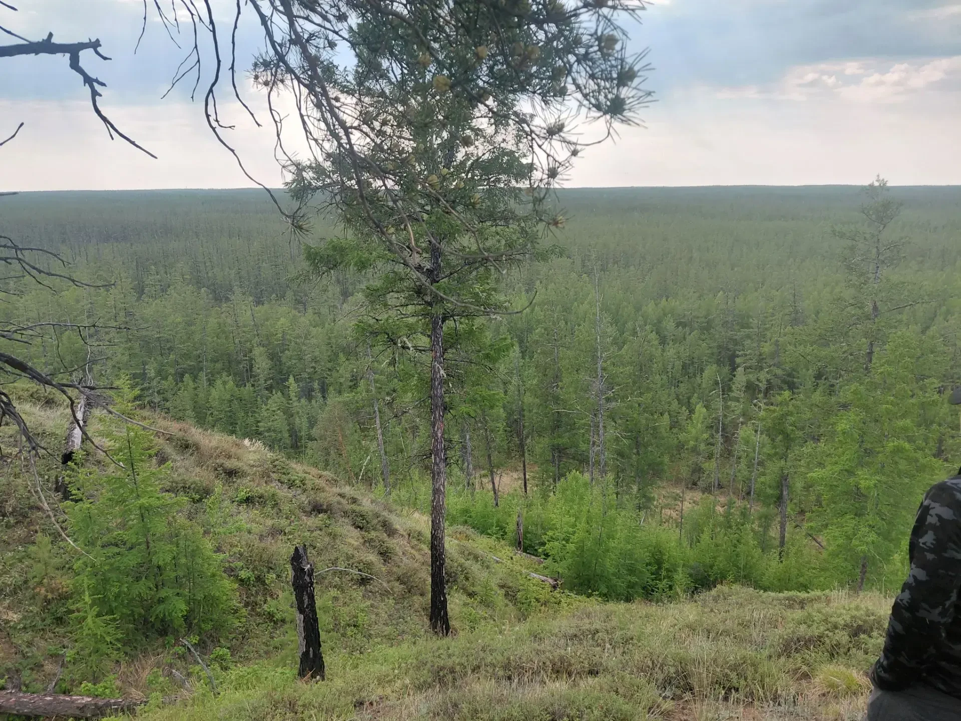 В Намском улусе исследуют происхождение «балдьарах»

🗻 В рамках совместной инициативы Намской инспе