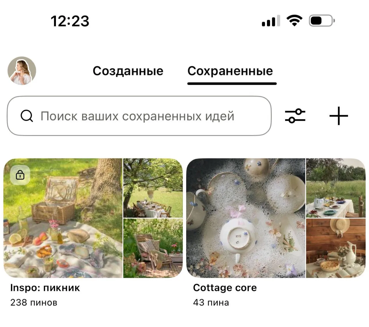 У меня в Pinterest: 238 сохранённых пикников.