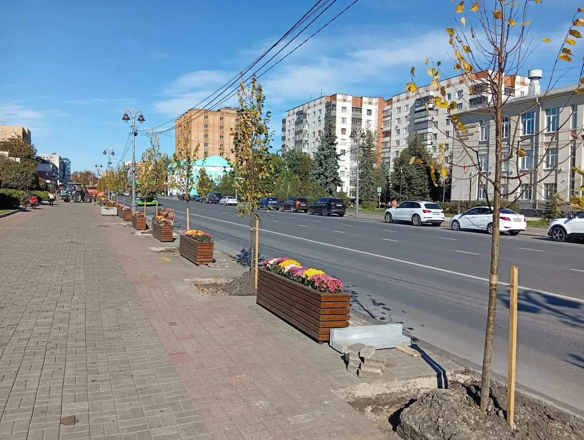 На главной улице Курска высаживают липы