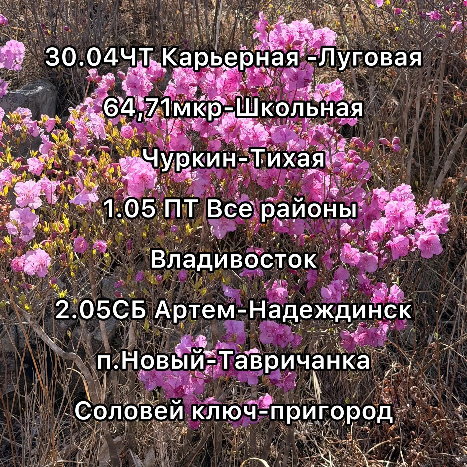 Доброе утро! Ближайшие маршруты 🚚