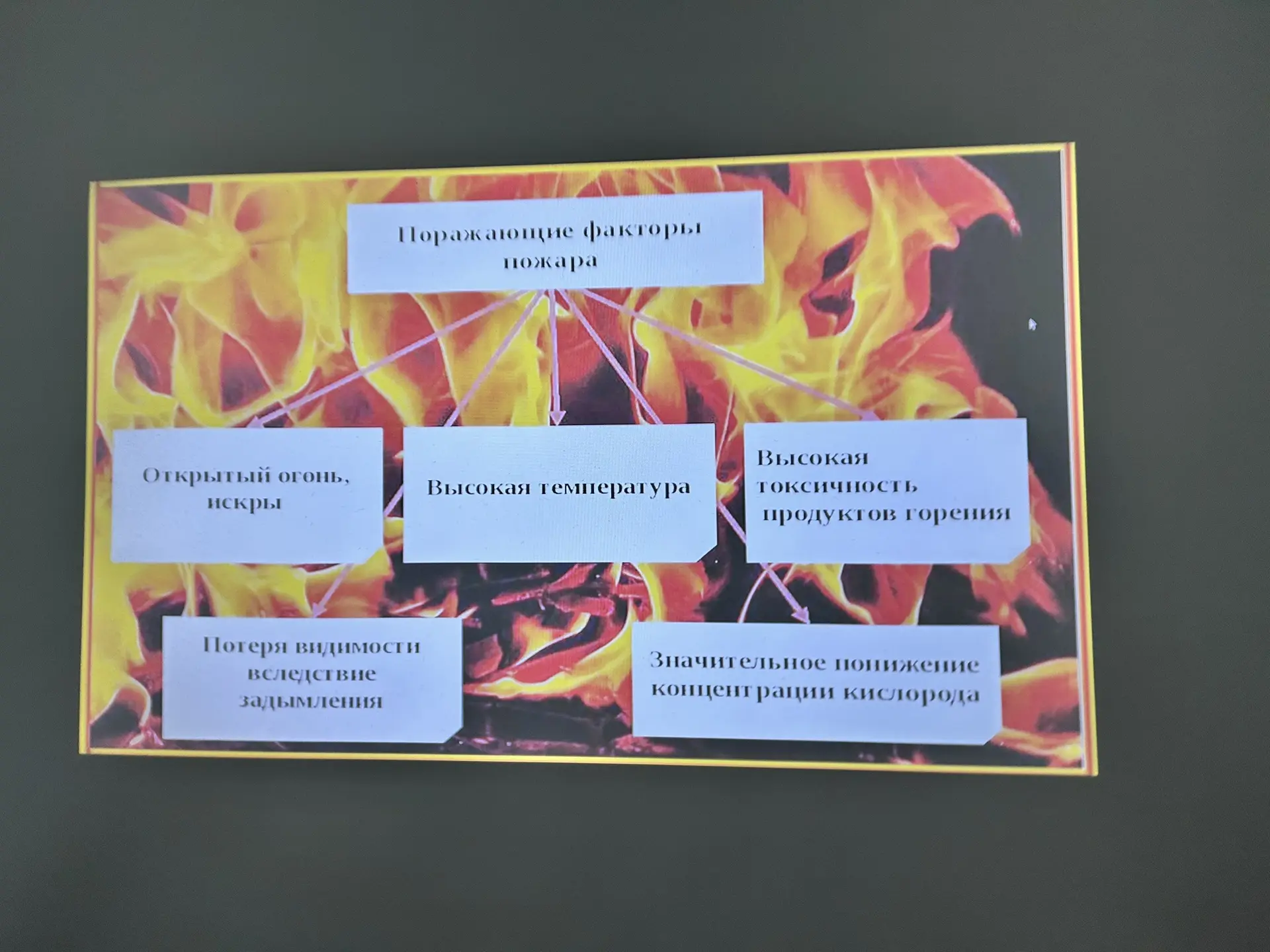 Сегодня мы говорили о важных правилах безопасности ❗️