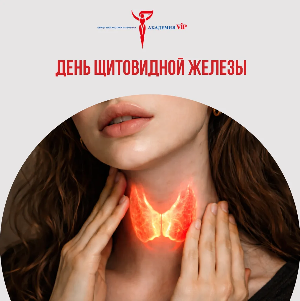 Сегодня — Всемирный день щитовидной железы.