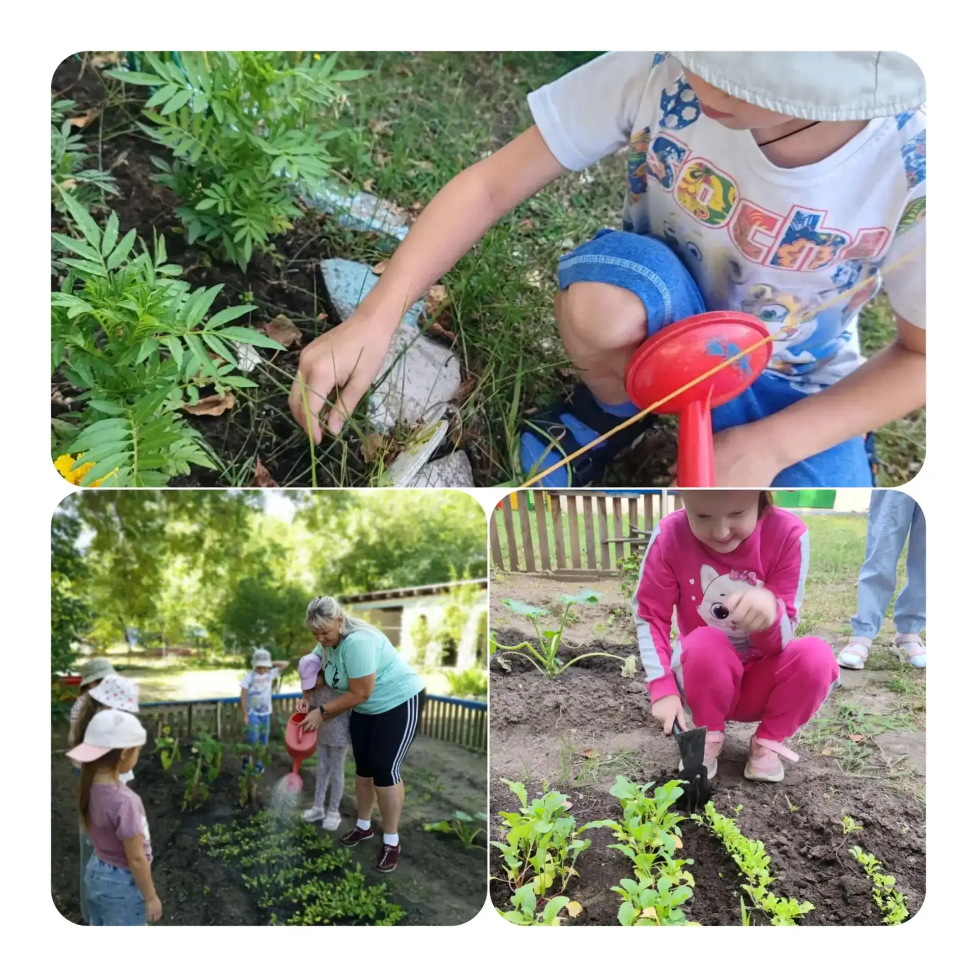 Уход за огородом 🥗 и клумбами в детском саду — это не просто работа, а важный элемент экологическог