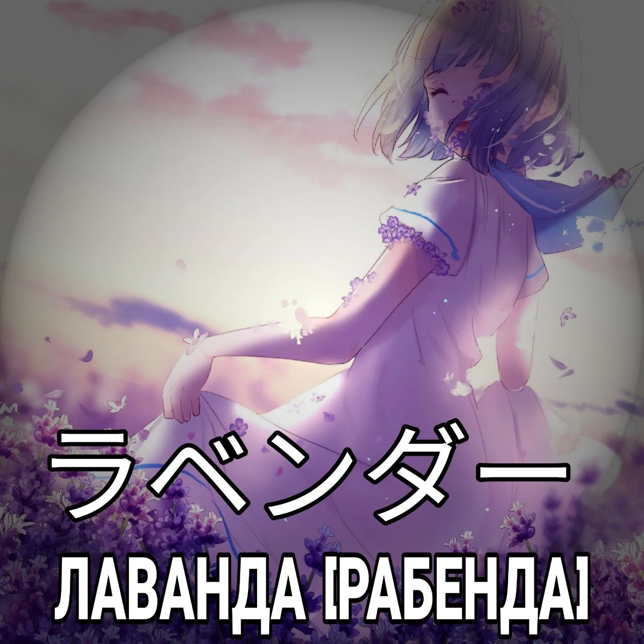 🦋 Лаванда - ラベンダー [Рабенда] —  род растений семейства яснотковых. Включает примерно 47...