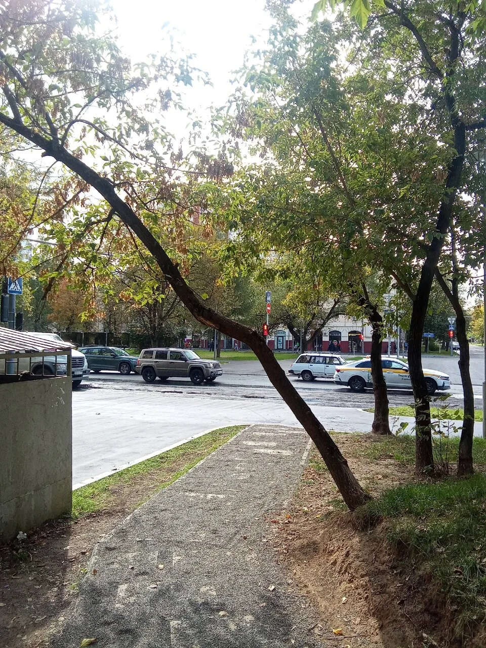 Над той самой дорожкой у входа в парк со стороны Дмитрия Ульянова сильно наклонились де...