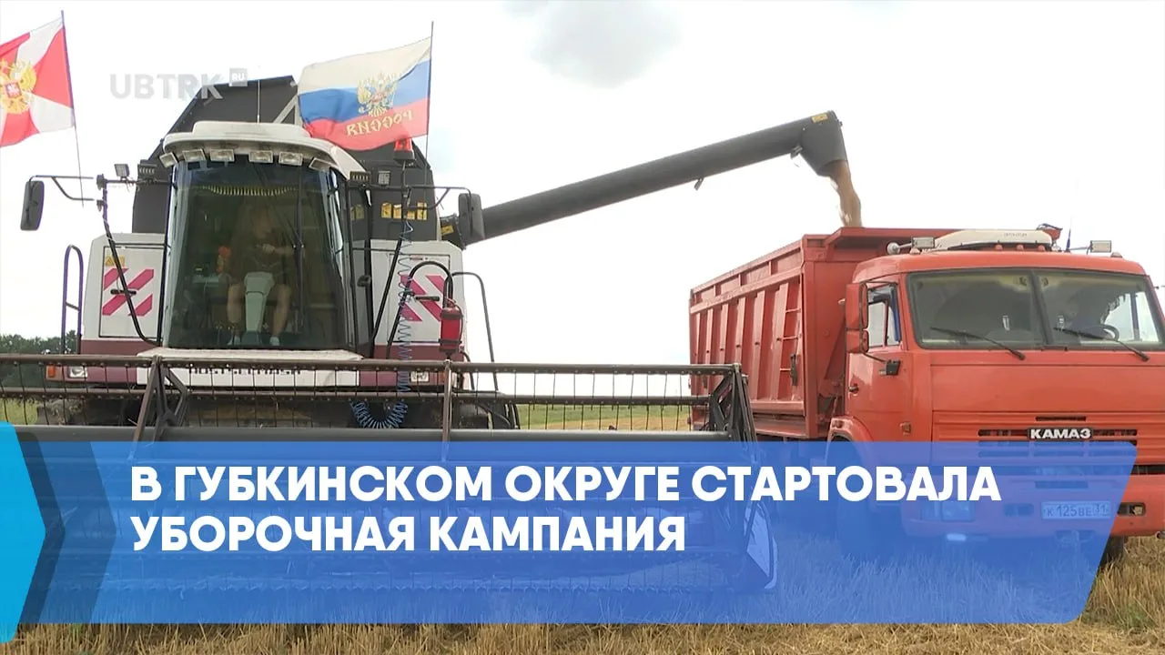 В Губкинском округе стартовала уборочная кампания

Губкинские крестьянско-фермерские хозяйства и агр