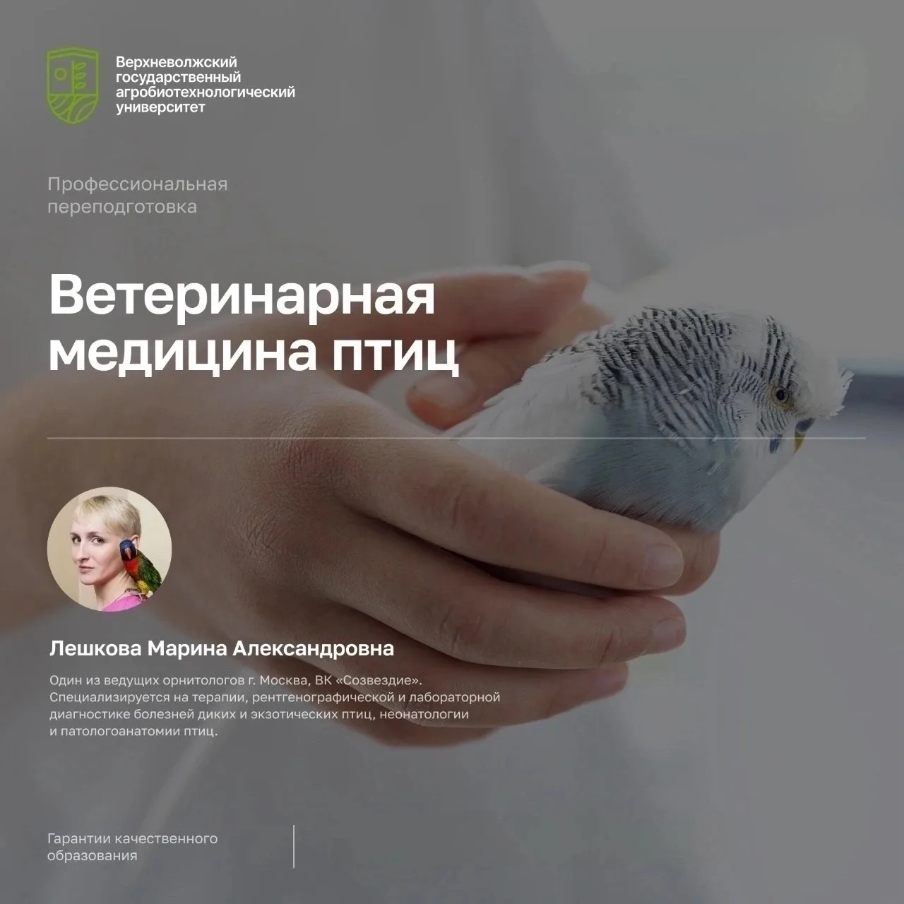 🚩 Ветеринария птиц: набор открыт!