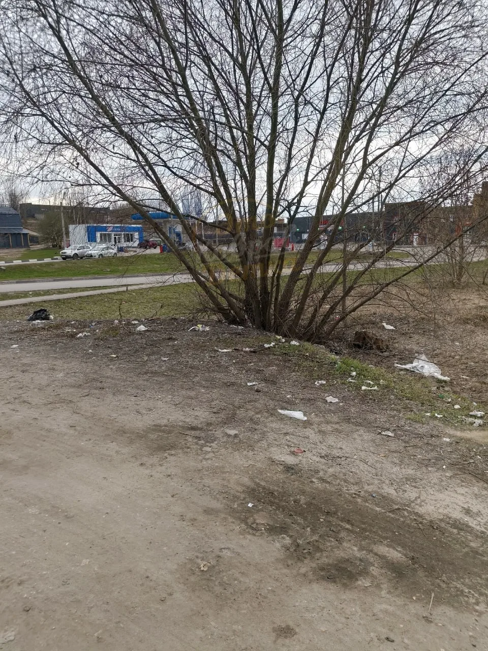 ⚡️ Вот в какой грязи  Нам приходится ждать транспорт, по всей территории разбросаны чек-ленты, котор