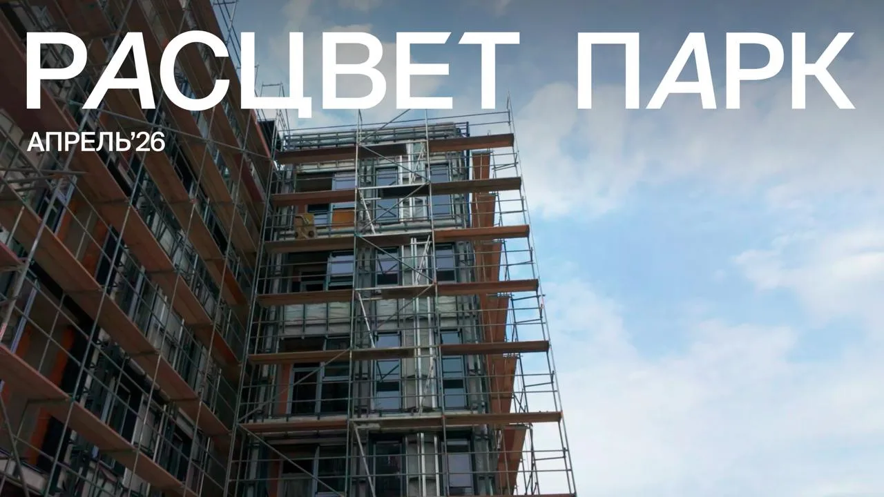 Кадры с места событий уже в новом видео