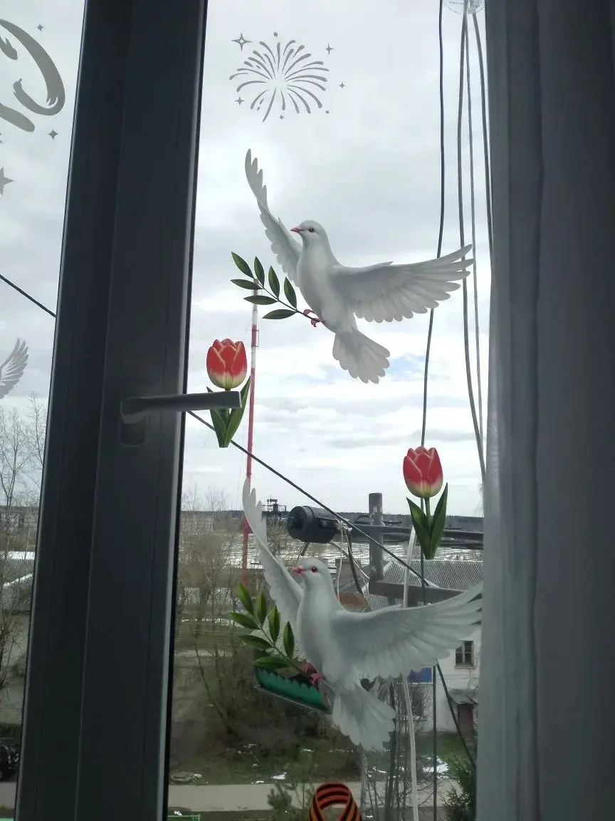 🕊️Ученик 5м класса со своей семьей приняли участие во Всероссийской акции «Окна Победы».