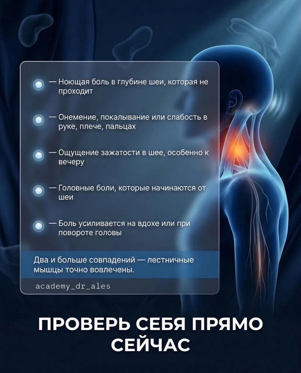 ⚡️Болит шея, немеют руки — а по обследованиям «все в норме»? Скорее всего, проблема не в позвоночник