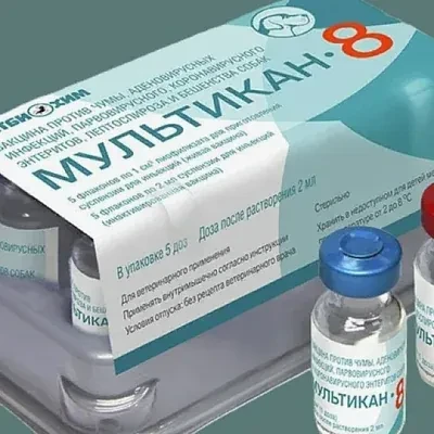 #новости #собаки #вакцина #смерть