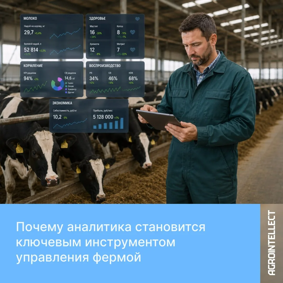 Почему аналитика становится необходимостью для ферм