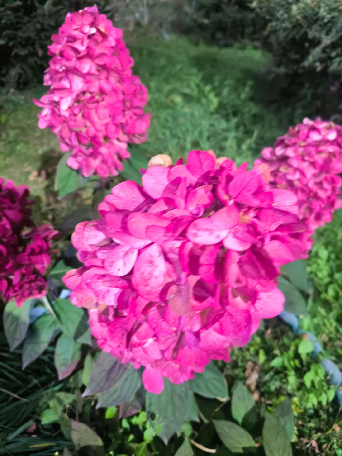 Доброе утро☀️