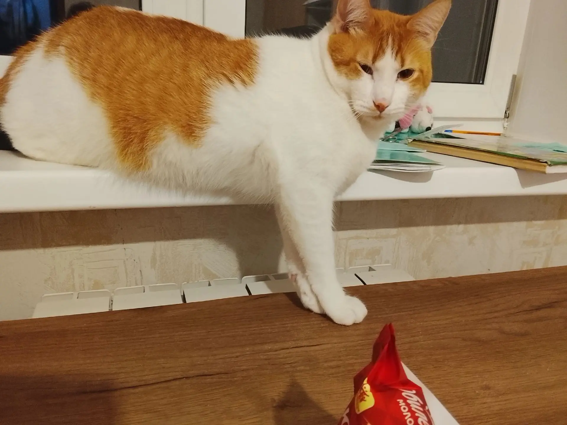 Потерялся кот бело-рыжий в районе 2-й Балашихе, где Калинина 21. Котик кастрирован, упи...