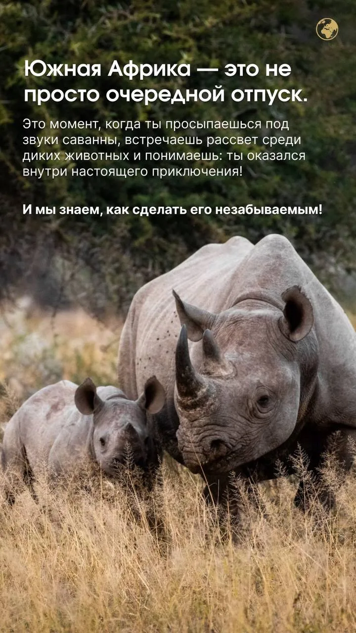 Южная Африка — это не просто путешествие. Это момент, когда ты оказываешься внутри настоящего приклю