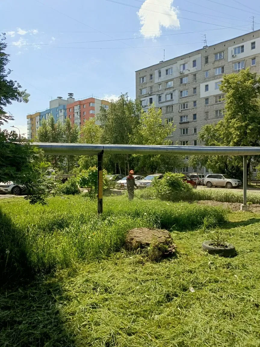 🌿 В летний период уделяем особое внимание благоустройству придомовых территорий: регулярно проводим 