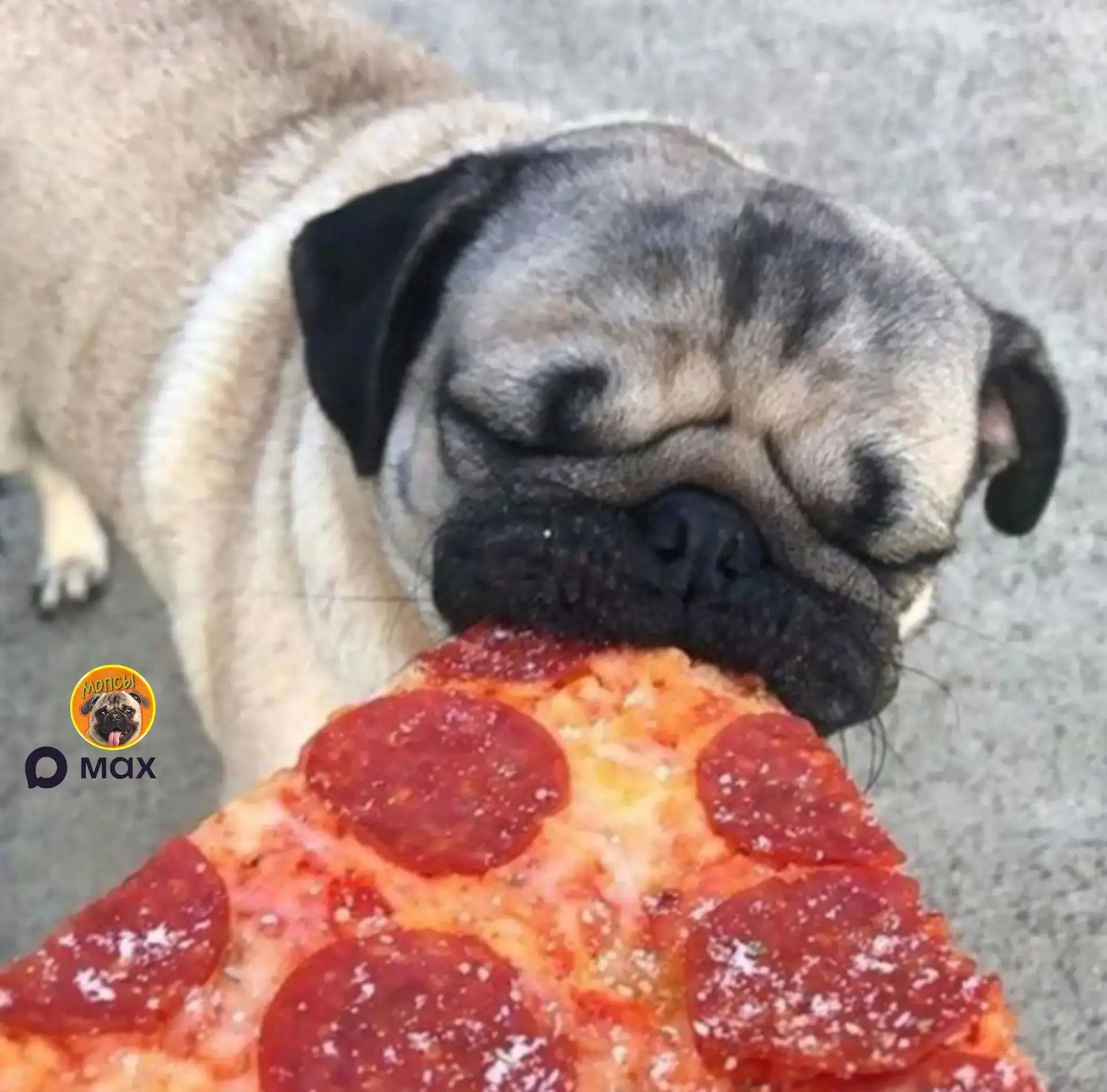 Это божественно. 🍕
