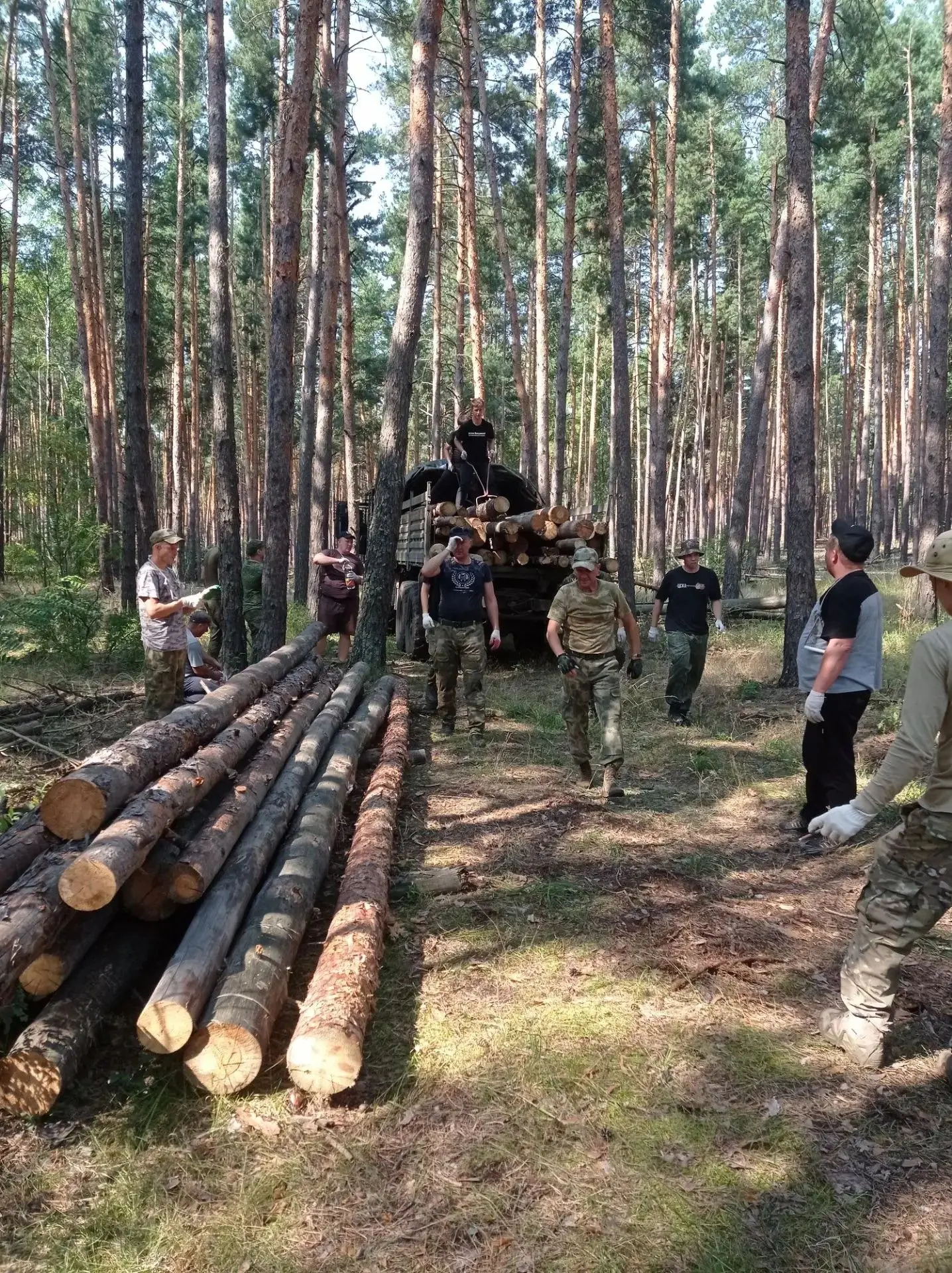Кто с нами в лес — тому не скучно!