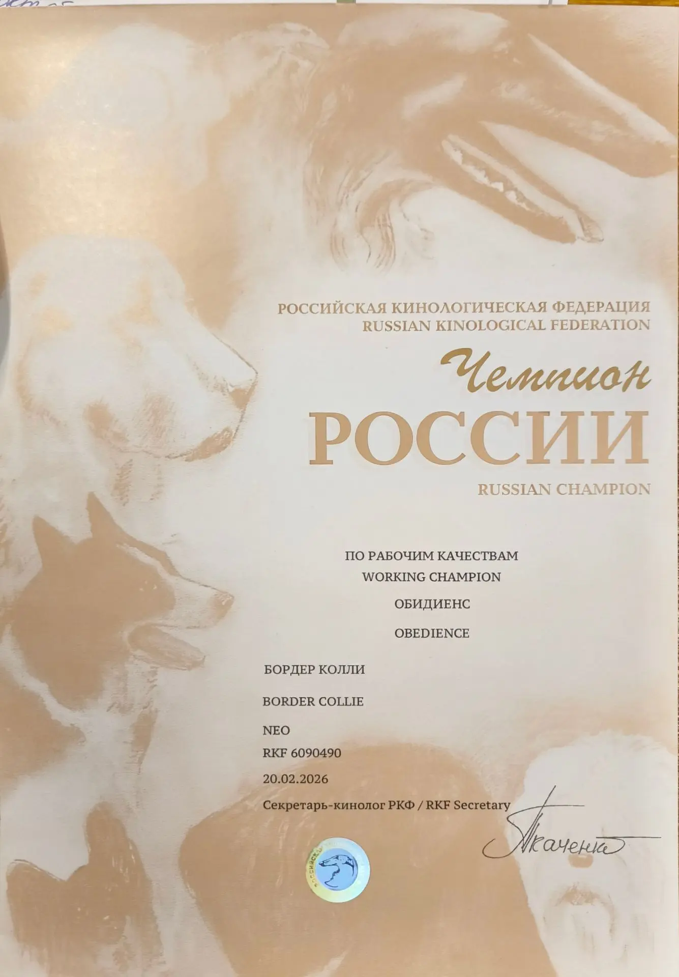 Наконец дошли руки (и доехали колеса , несмотря на дефицит топлива) получить рабочие ди...