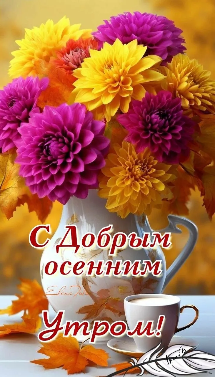☕️ #доброе_утро