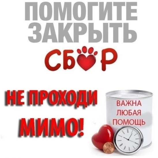 🆘😢Наши новости… и, к сожалению, снова про финансы. 💔
