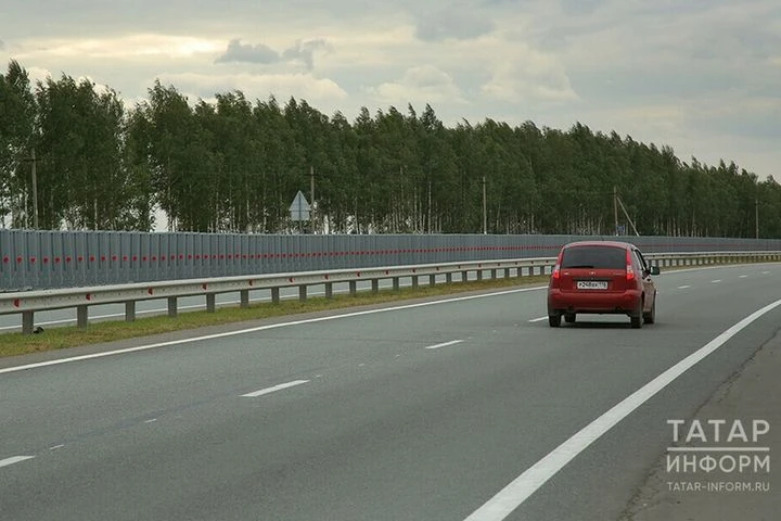🚘Особые отметки в правах: где искать и что они значат