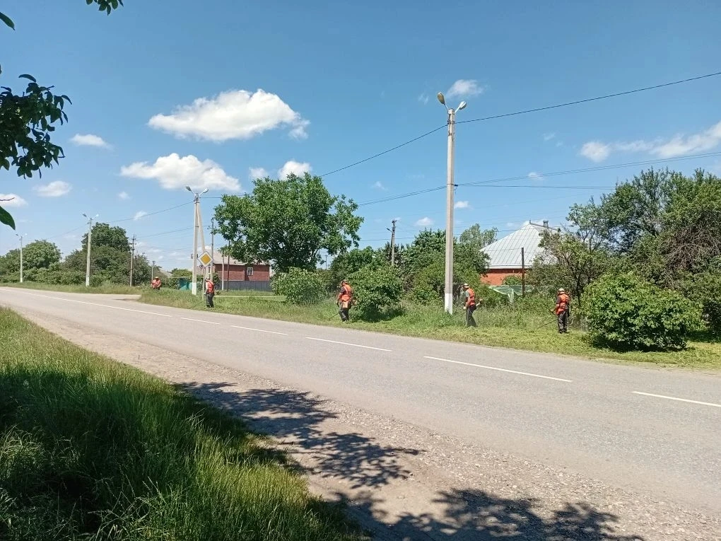 Скашивание сорной растительности по улице Аэдромной пгт Мостовского