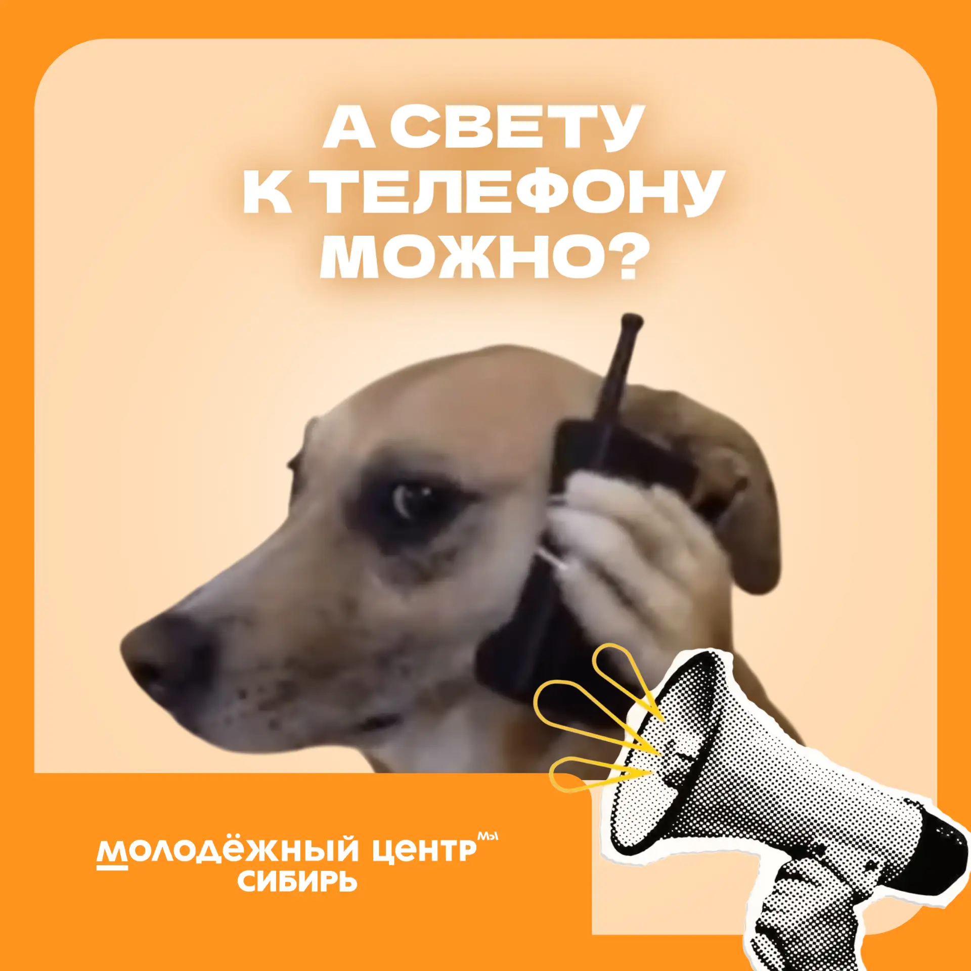 Ало, Света? 🙄