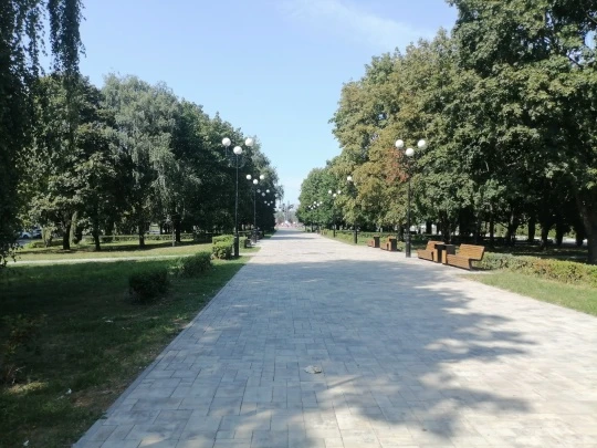 🌳 От проспекта Губкина до фонтана — всё по высшему разряду!