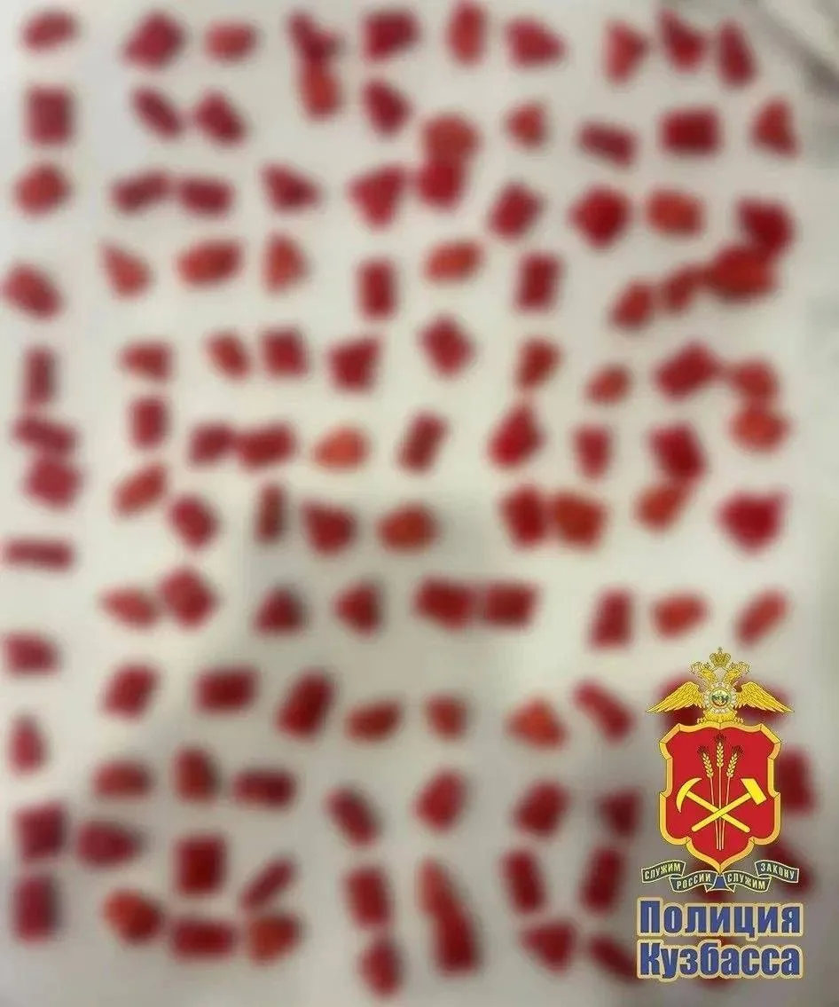 В Прокопьевске задержали курьера-закладчика с 4 граммами метадона и ещё 120 свёртками дома